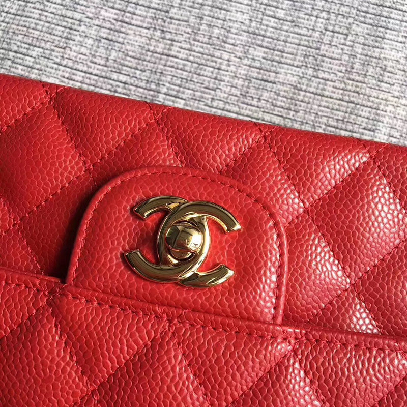 Amelia - CHL Lady Bags - 649