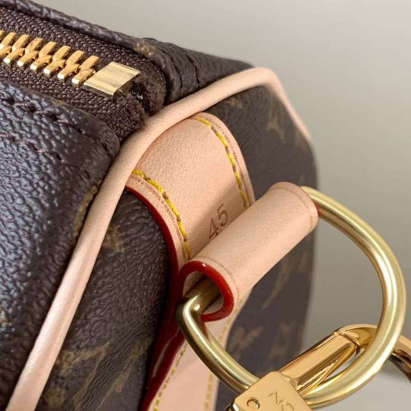 Amelia - LV Bags - 14239