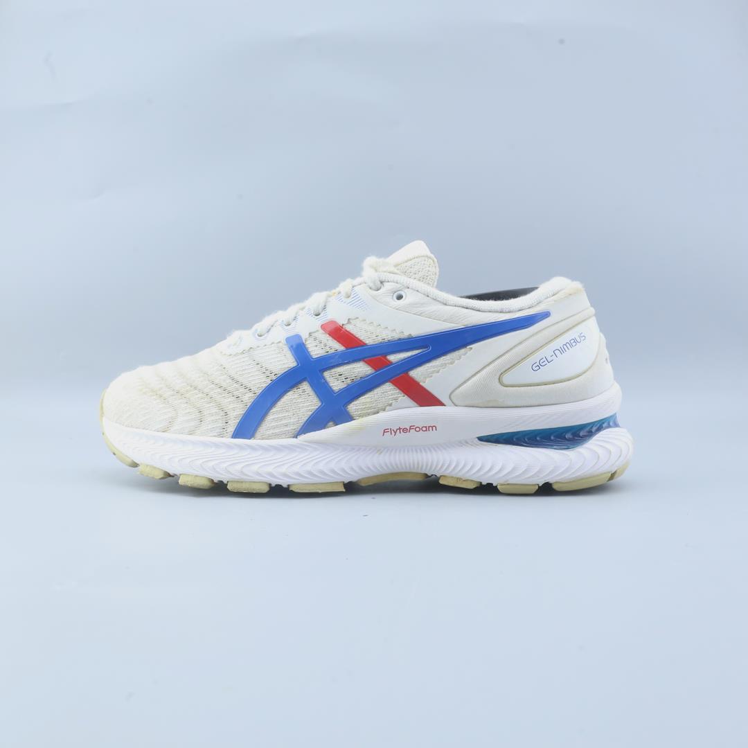 ASICS GEL-NIMBUS 22