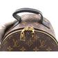 Louis Vuitton Monogram Palm Springs Backpack PM Backpack Brown