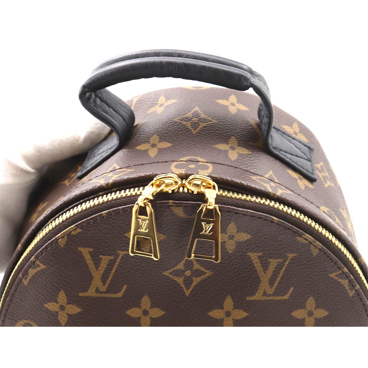 Louis Vuitton Monogram Palm Springs Backpack PM Backpack Brown