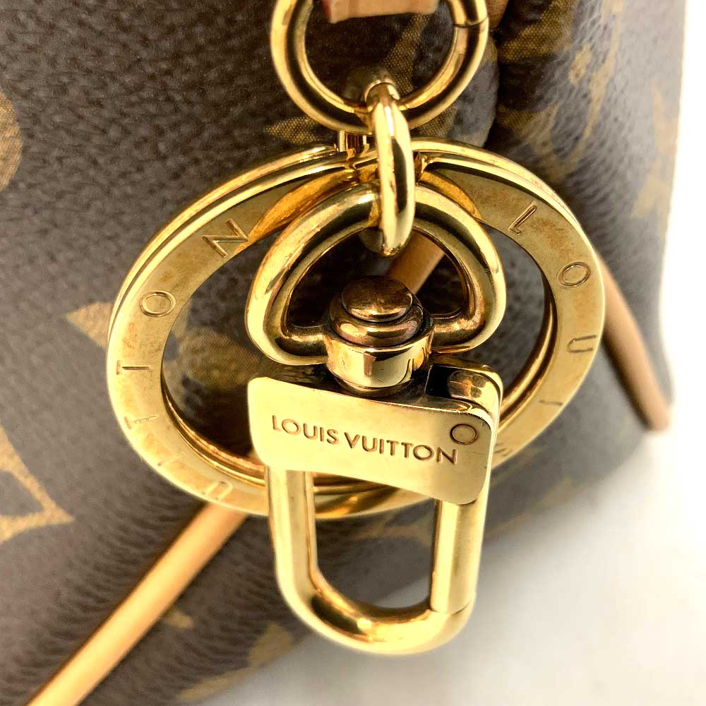 Louis Vuitton Delightful PM Monogram Shoulder Bag