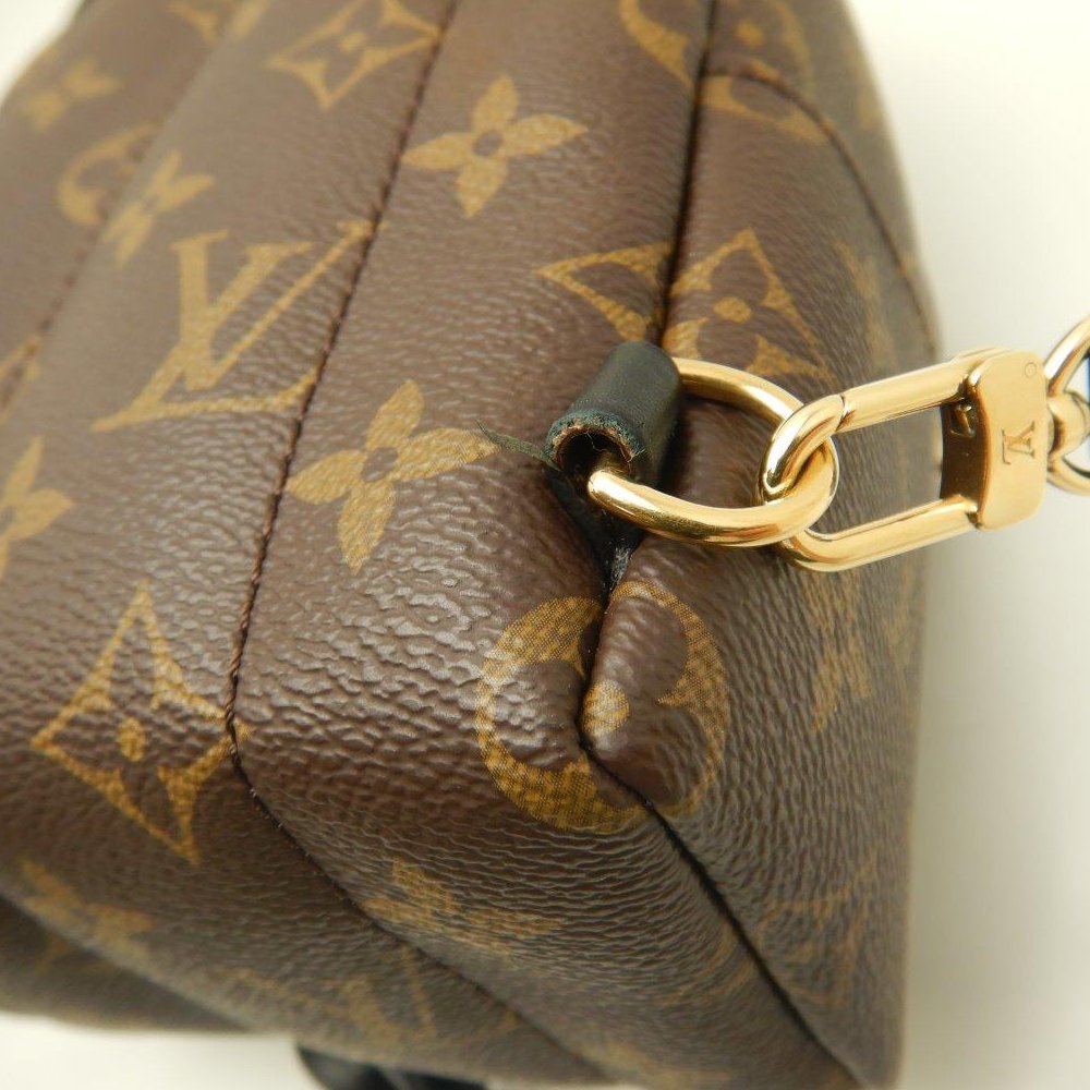 Louis Vuitton Monogram Palm Springs Backpack MINI Brown