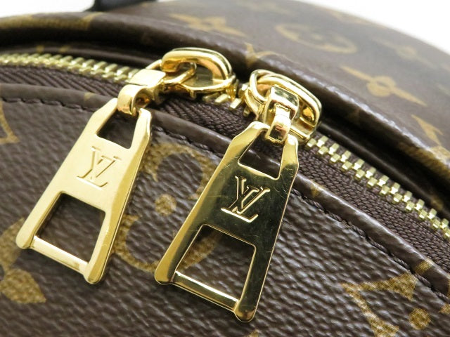 Louis Vuitton Palm Springs Backpack MM Monogram