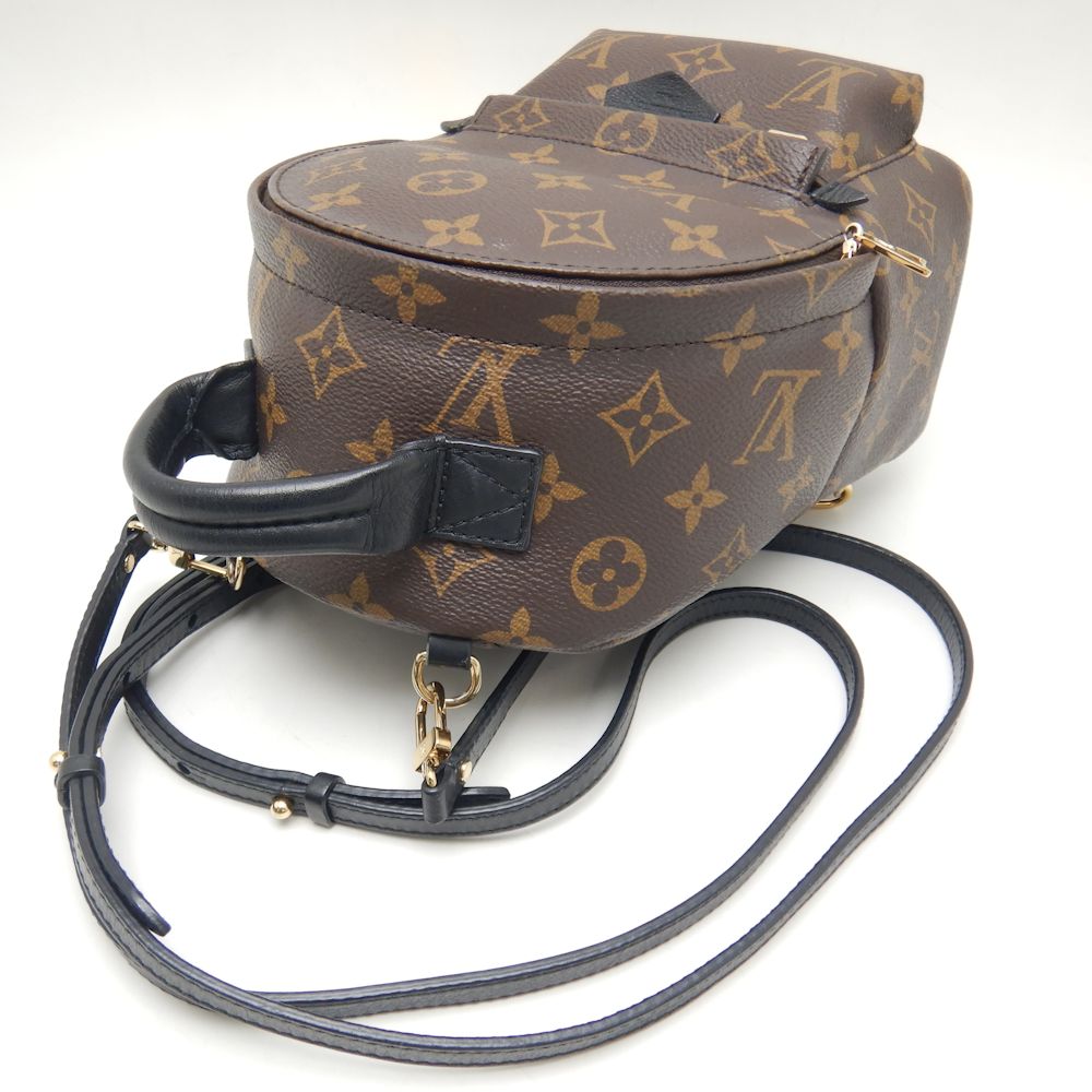 Louis Vuitton Monogram Palm Springs Backpack Mini Rucksack Brown