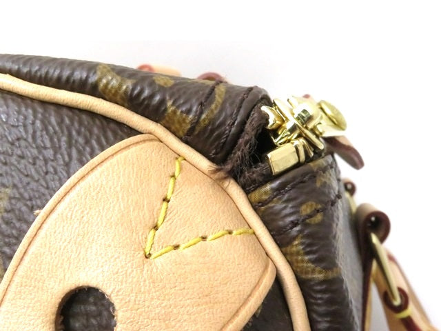 Louis Vuitton Speedy 25 Handbag Monogram