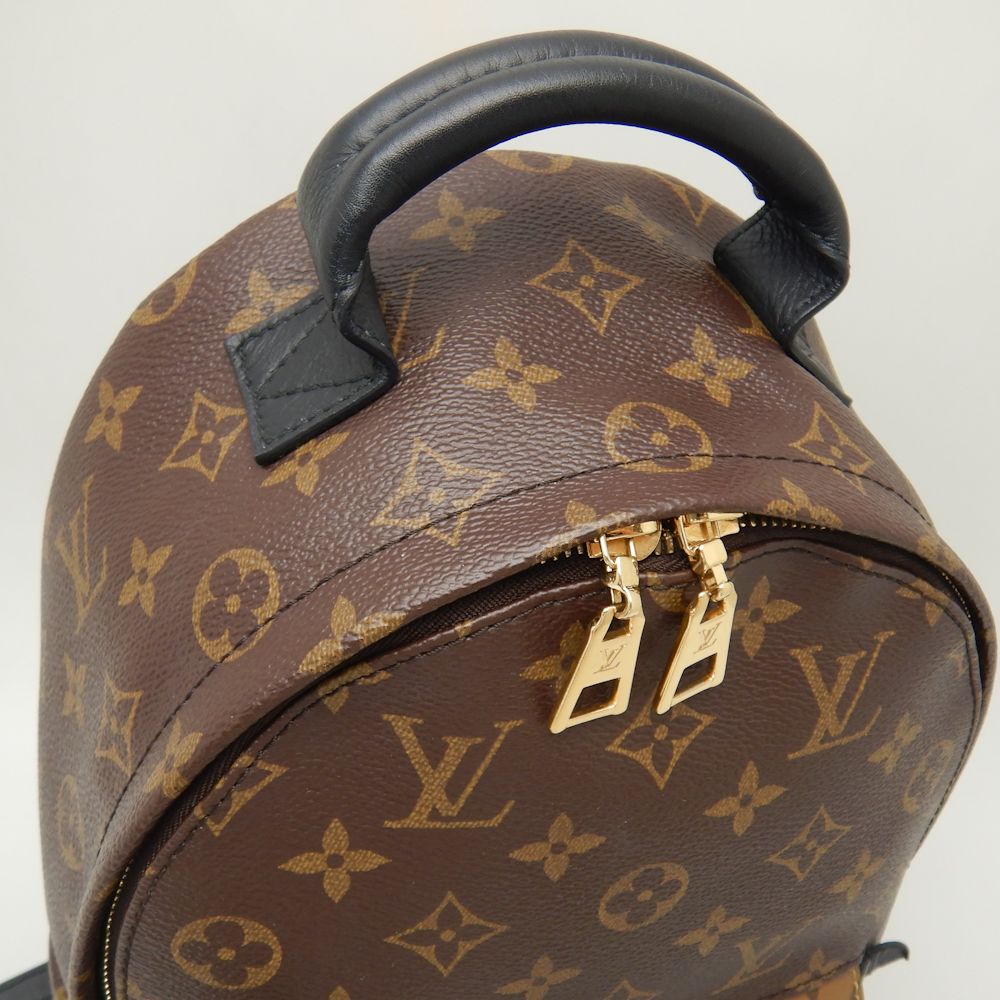 Louis Vuitton Palm Springs Backpack PM Monogram Reverse Brown