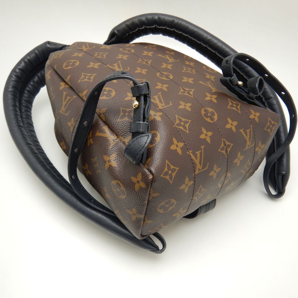 Louis Vuitton Palm Springs PM Backpack Monogram Reverse Brown
