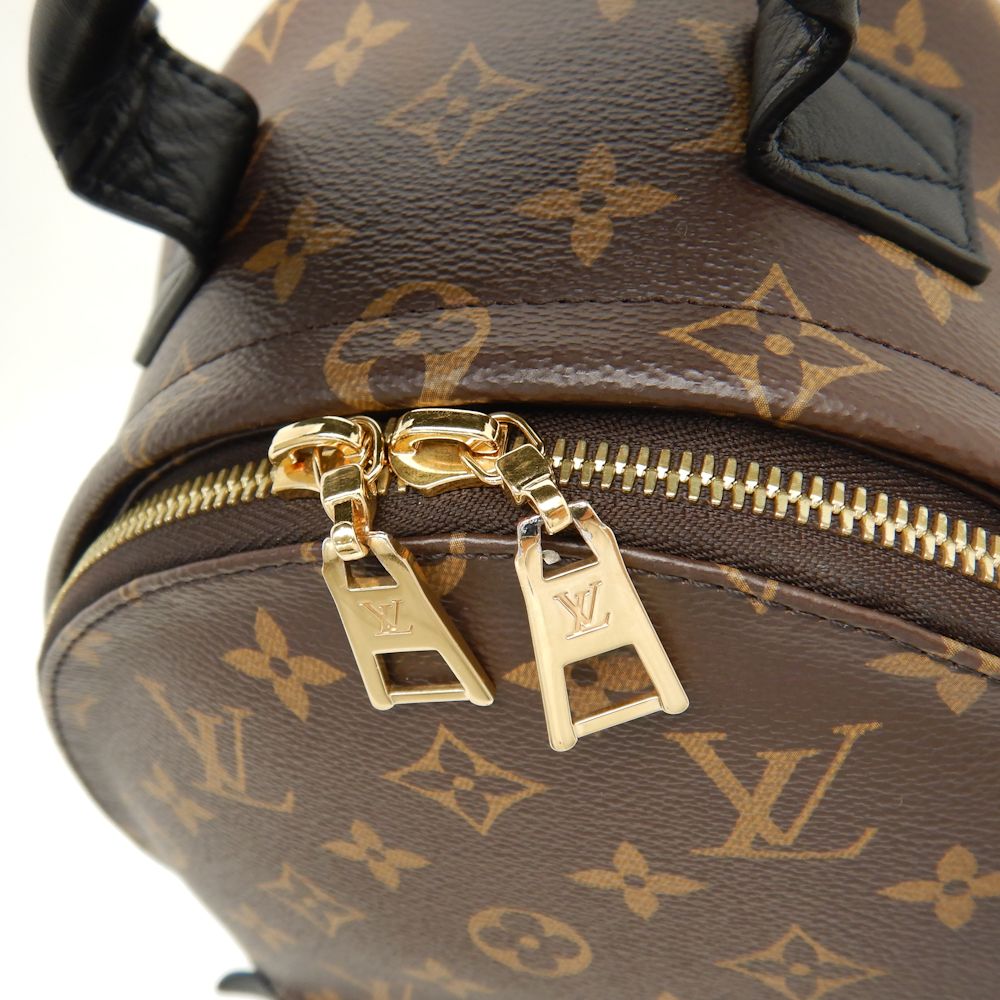 Louis Vuitton Monogram Palm Springs Rucksack Backpack PM Brown
