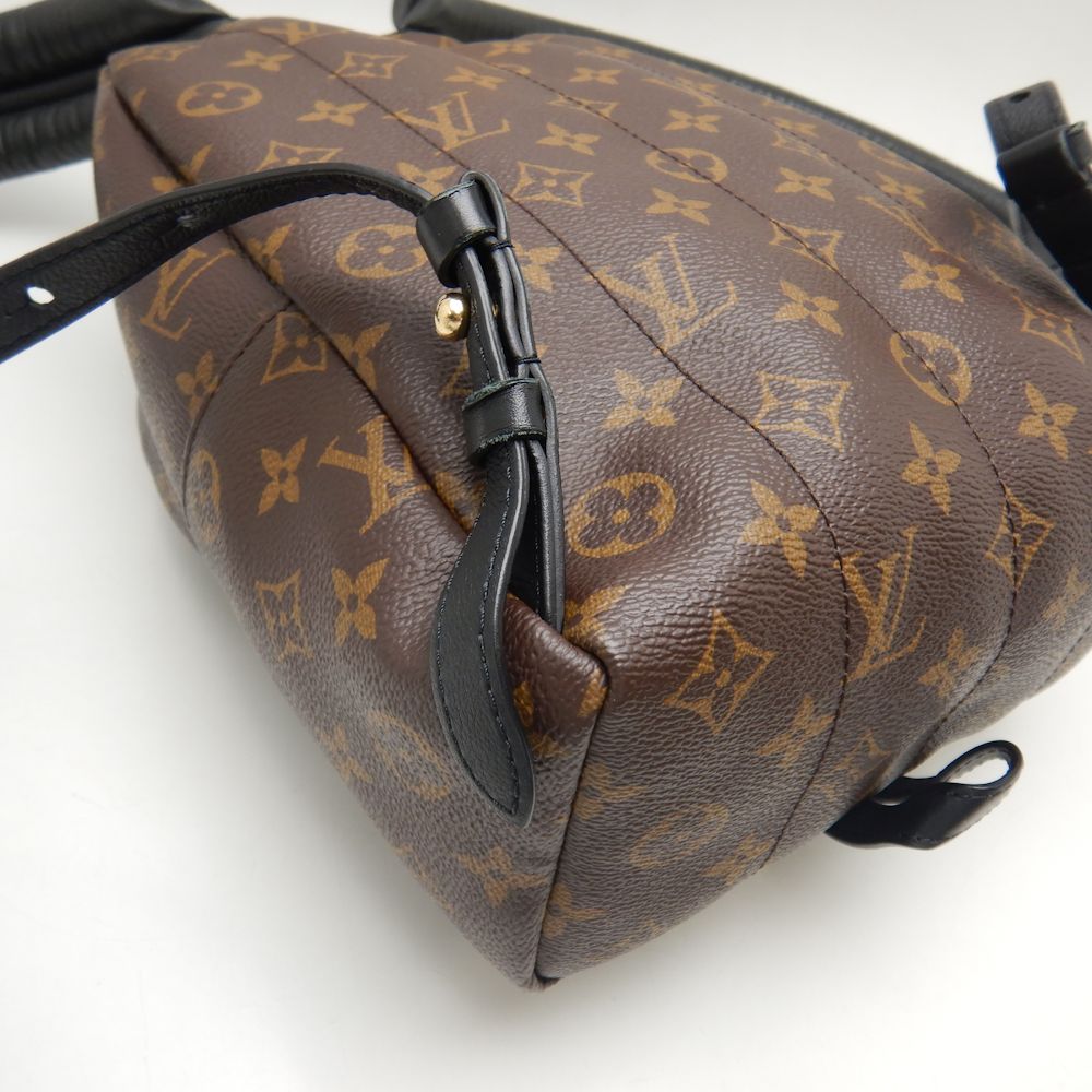 Louis Vuitton Monogram Palm Springs PM Backpack Brown