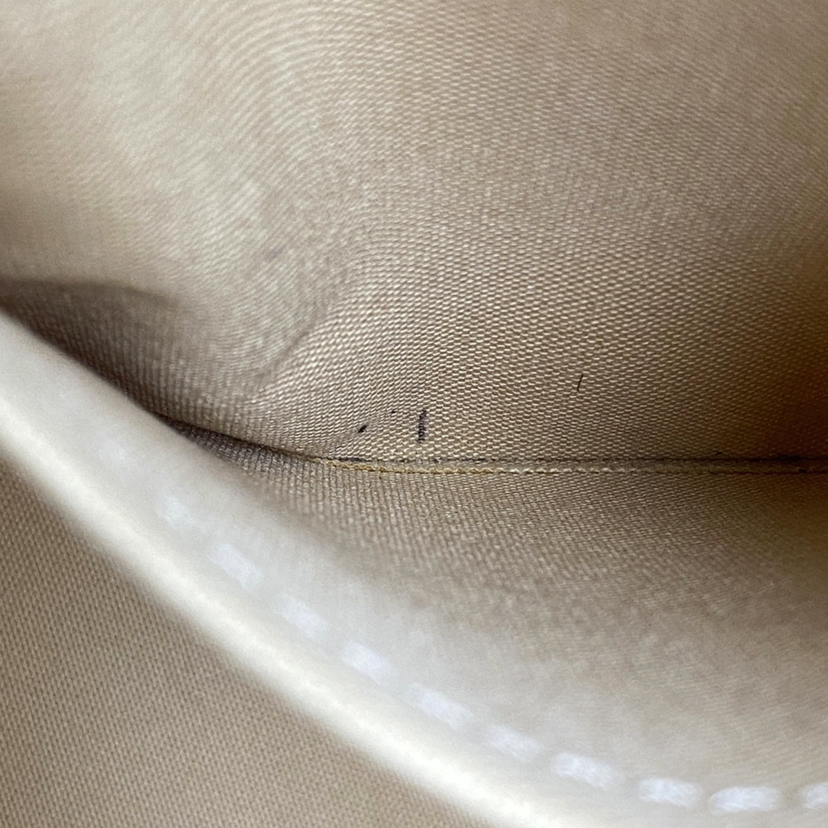 Louis Vuitton Riviera PM Handbag 2WAY Shoulder Bag