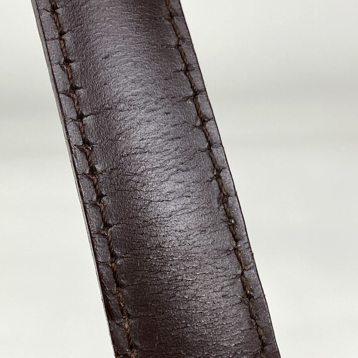 Louis Vuitton Parioli PM Shoulder Bag Tote Bag