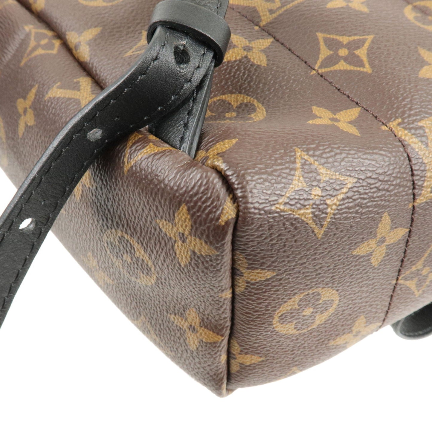 Louis Vuitton Monogram Palm Springs Backpack PM Rucksack