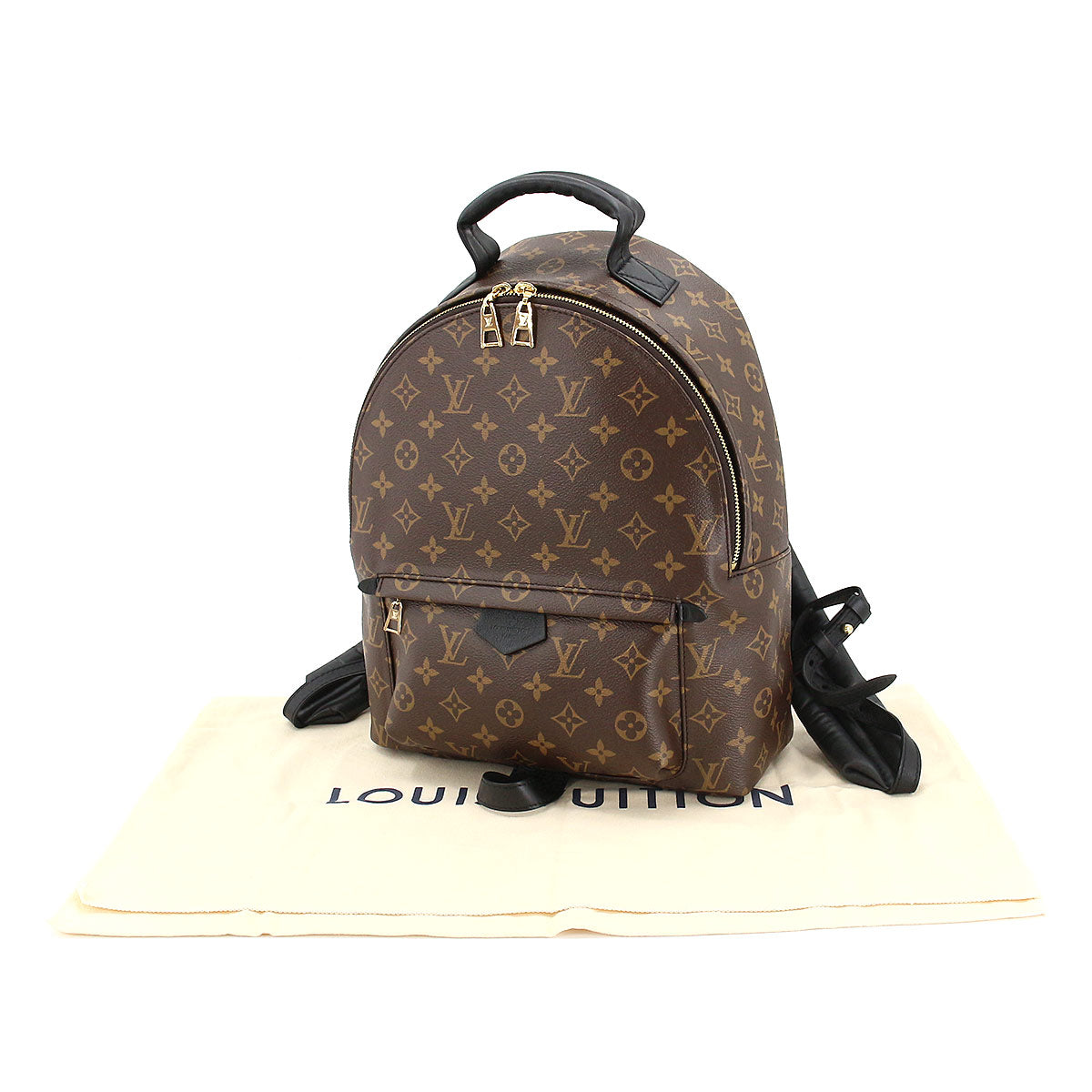 Louis Vuitton Monogram Palm Springs Backpack MM Brown