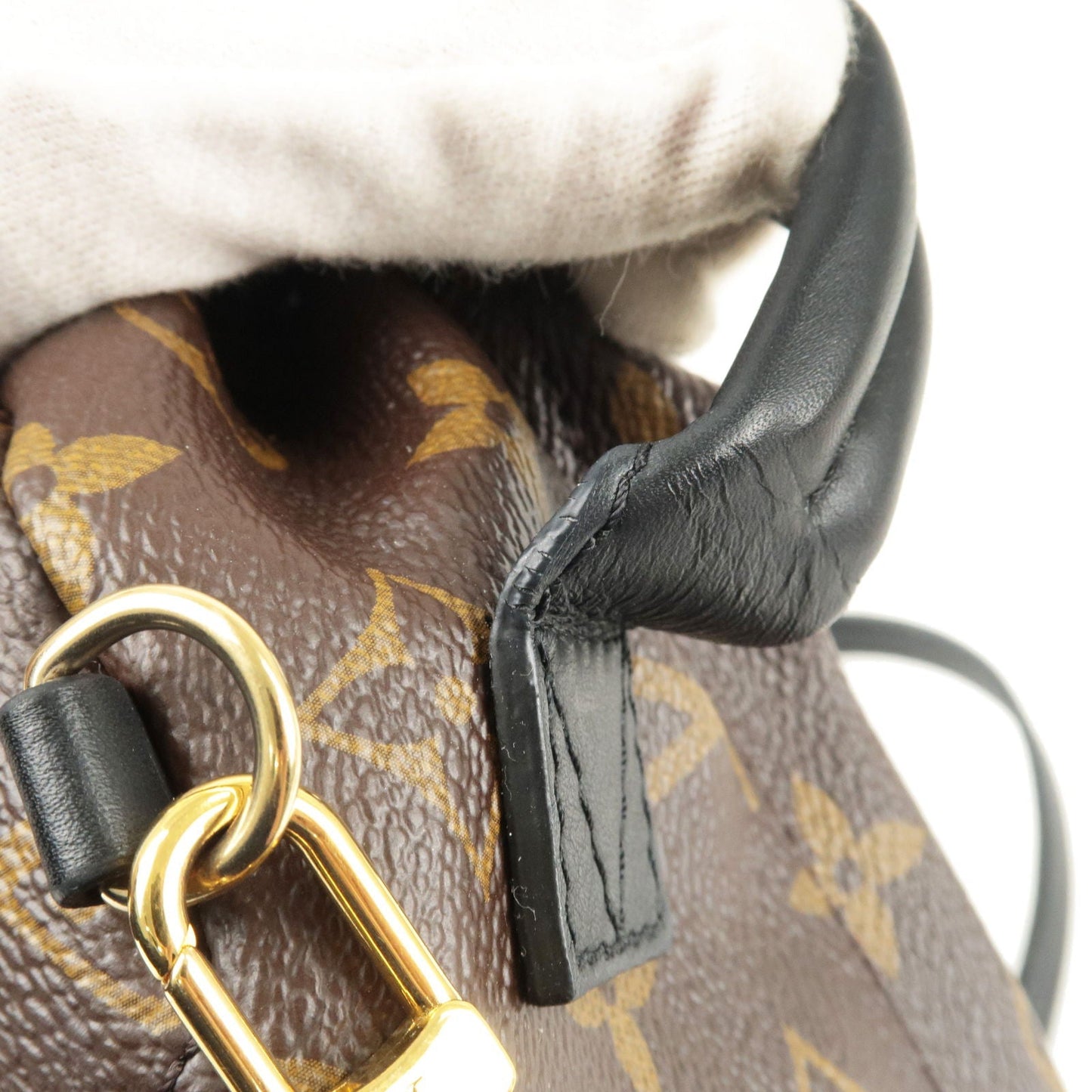 Louis Vuitton Monogram Palm Springs Backpack Mini Rucksack