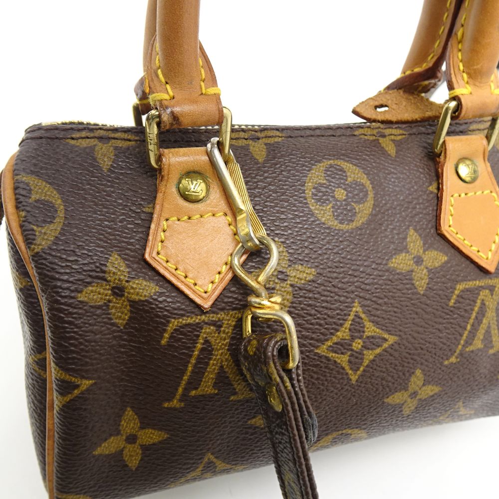 Louis Vuitton Monogram Mini Speedy Brown Mini Bag Pouch