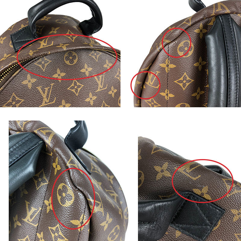 Louis Vuitton Palm Springs Backpack PM Monogram