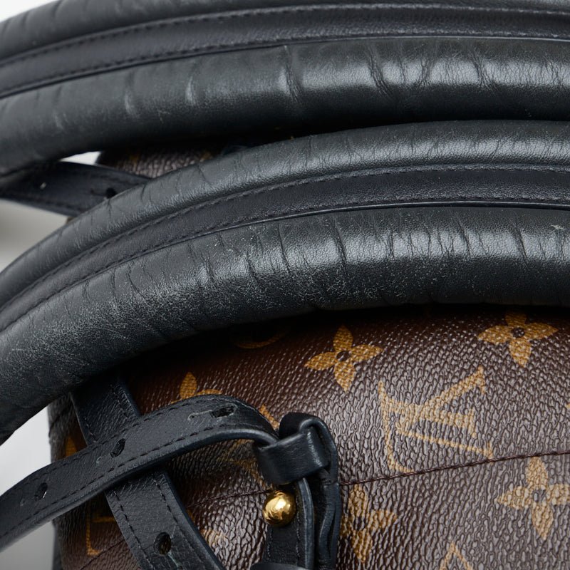 Louis Vuitton Monogram Palm Springs PM Rucksack Backpack Brown