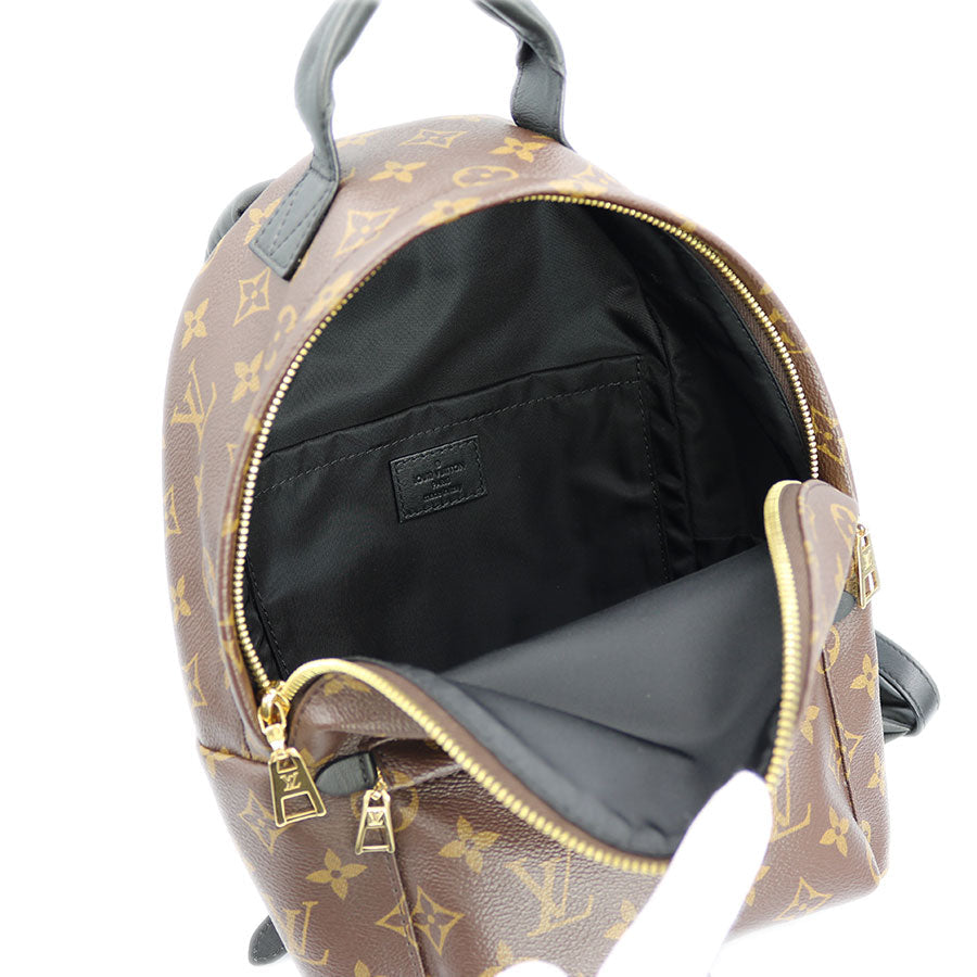 Louis Vuitton Palm Springs Backpack Monogram Brown