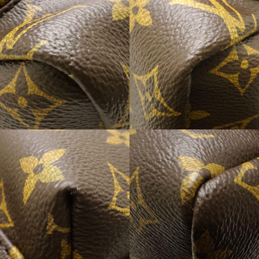 Louis Vuitton Monogram Palm Springs Backpack MM Brown Rucksack
