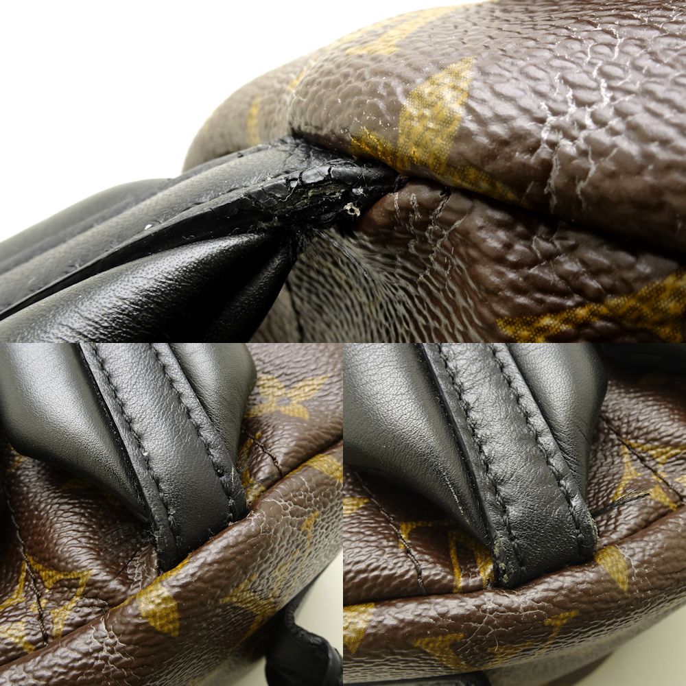 Louis Vuitton Palm Springs Backpack MM Backpack Brown
