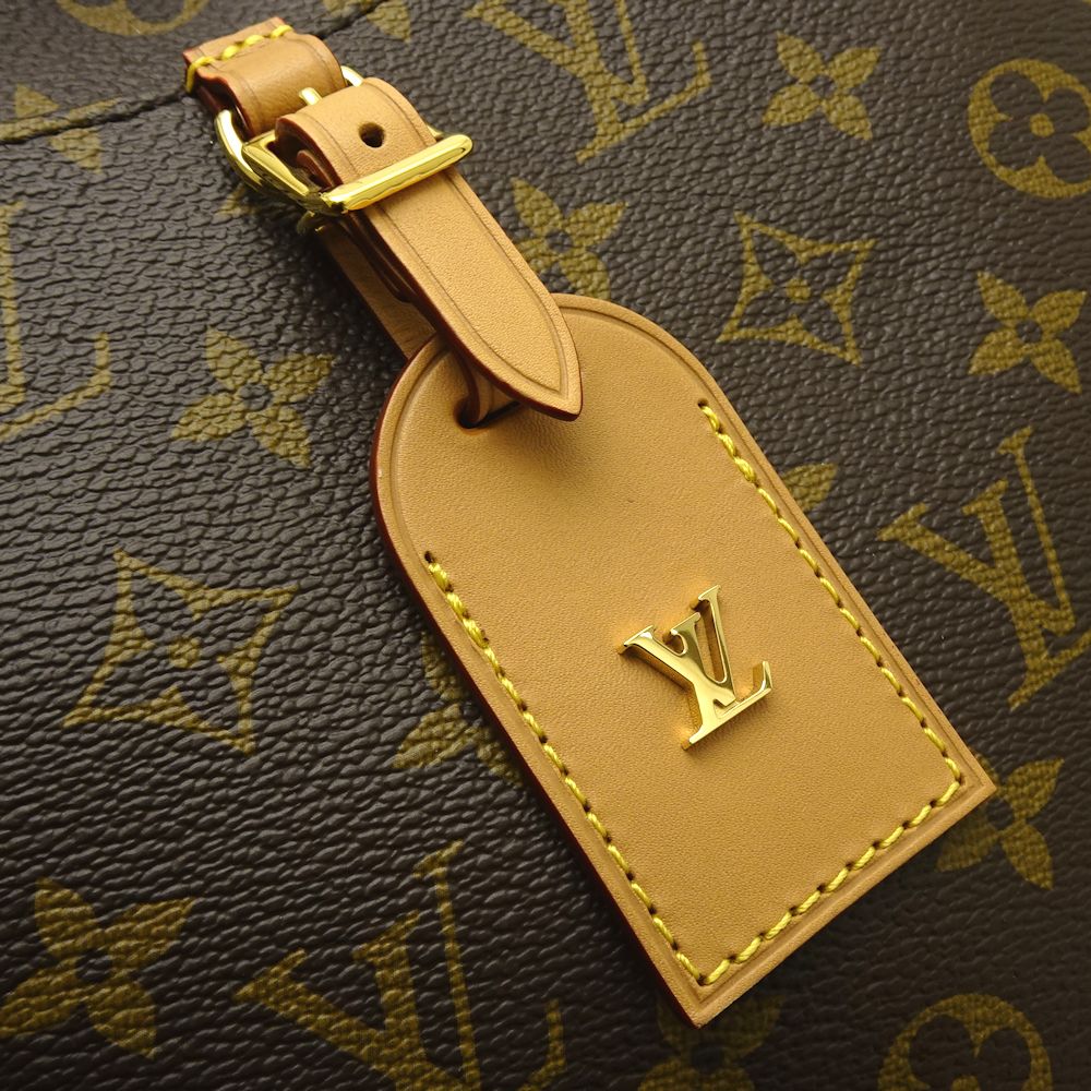 Louis Vuitton Monogram Odeon NM PM Natural