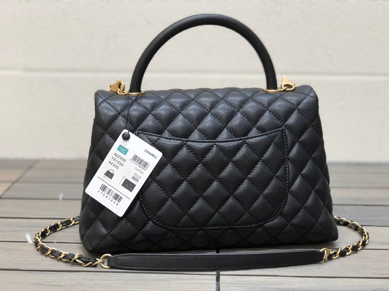 Amelia- CHL Bags - 6723