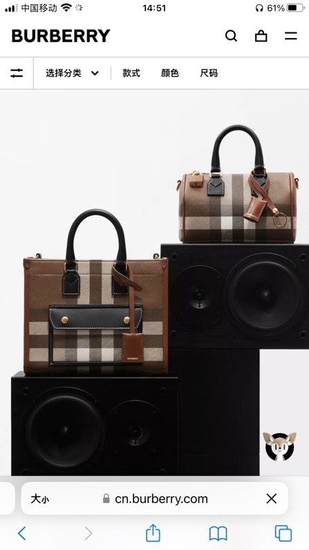 B-Berry Bags - Women Ameliave Luxury Bags - 901