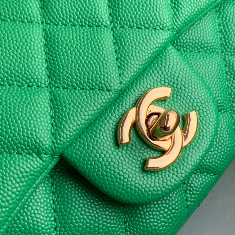 Amelia- CHL Bags - 6638