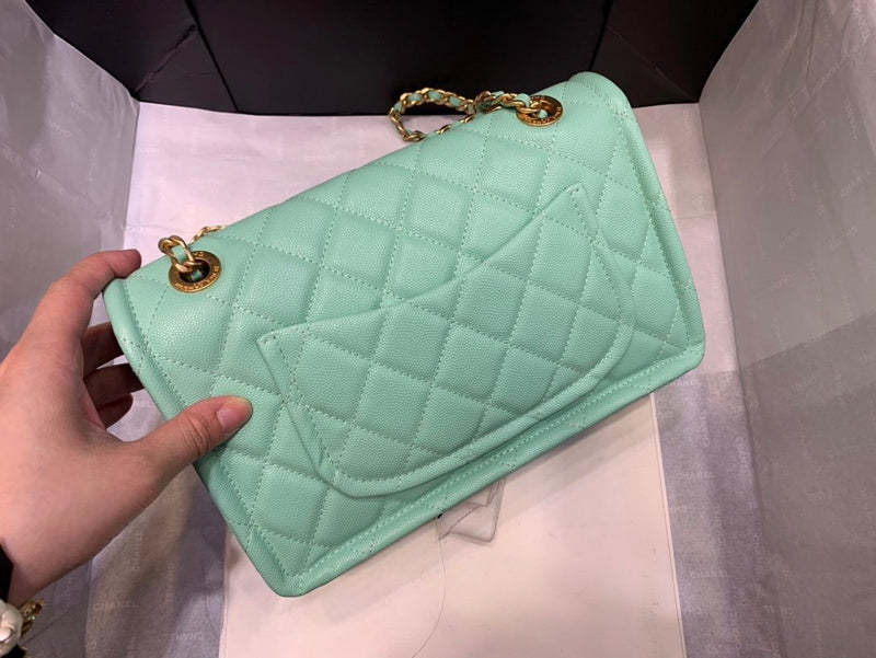 Amelia - CHL Lady Bags - 570