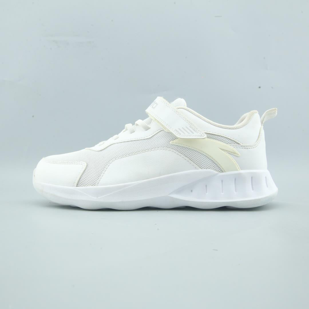 ANTA .