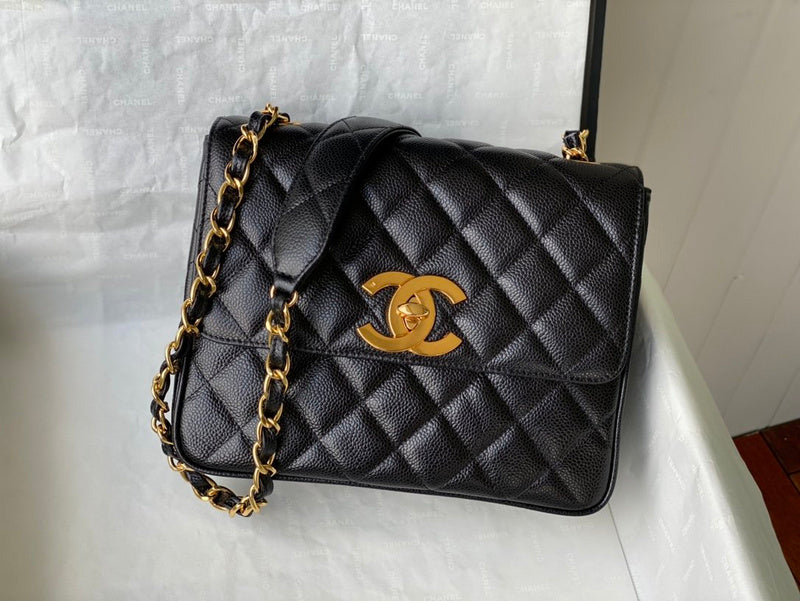 Amelia - CHL Lady Bags - 560