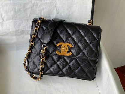 Amelia - CHL Lady Bags - 560