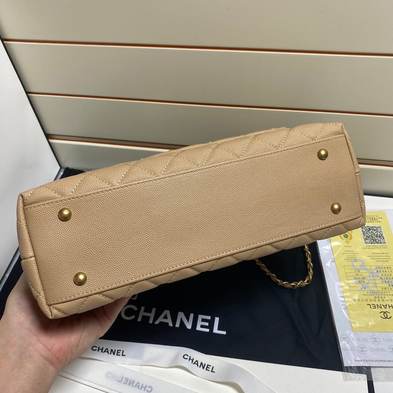 Amelia- CHL Bags - 7491