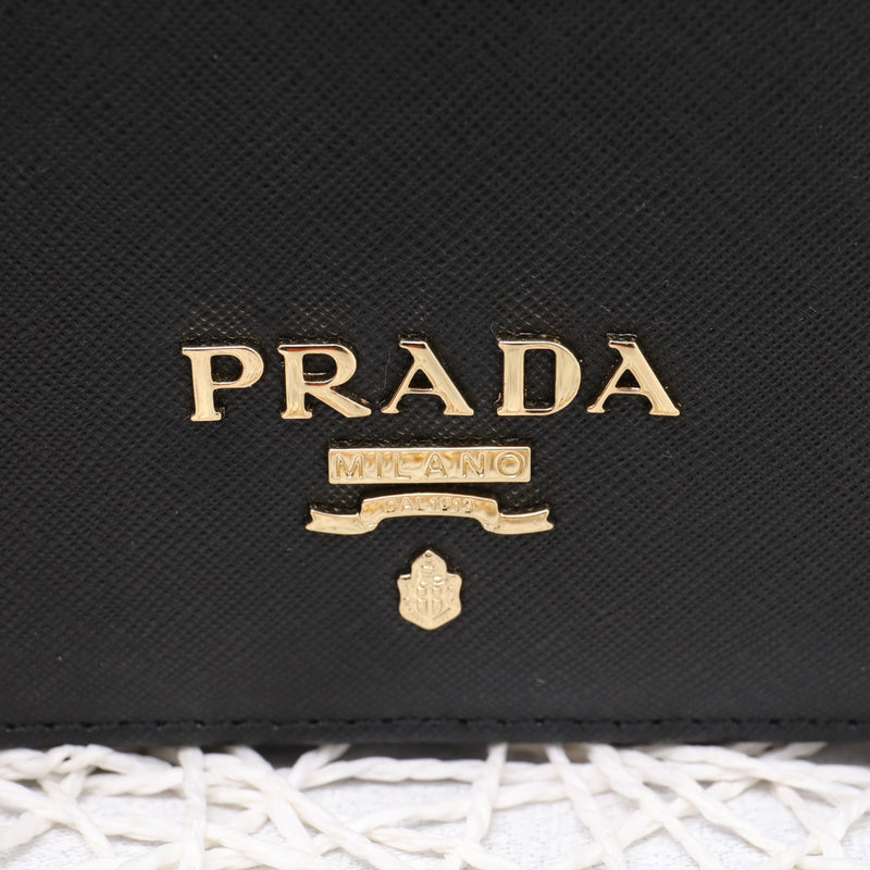 Amelia- PRDA  LUXURY BAGS - 606