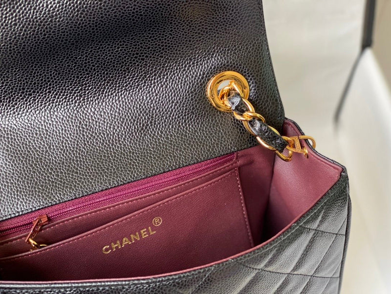 Amelia - CHL Lady Bags - 560