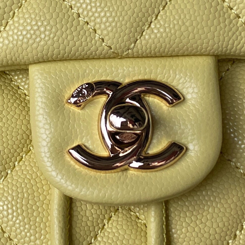 Amelia- CHL Bags - 7535