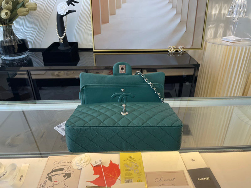Amelia- CHL Bags - 6698