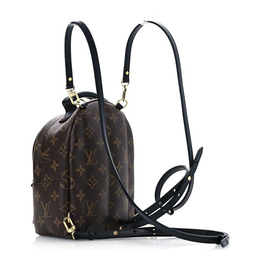 Louis Vuitton Monogram Palm Springs Backpack Mini