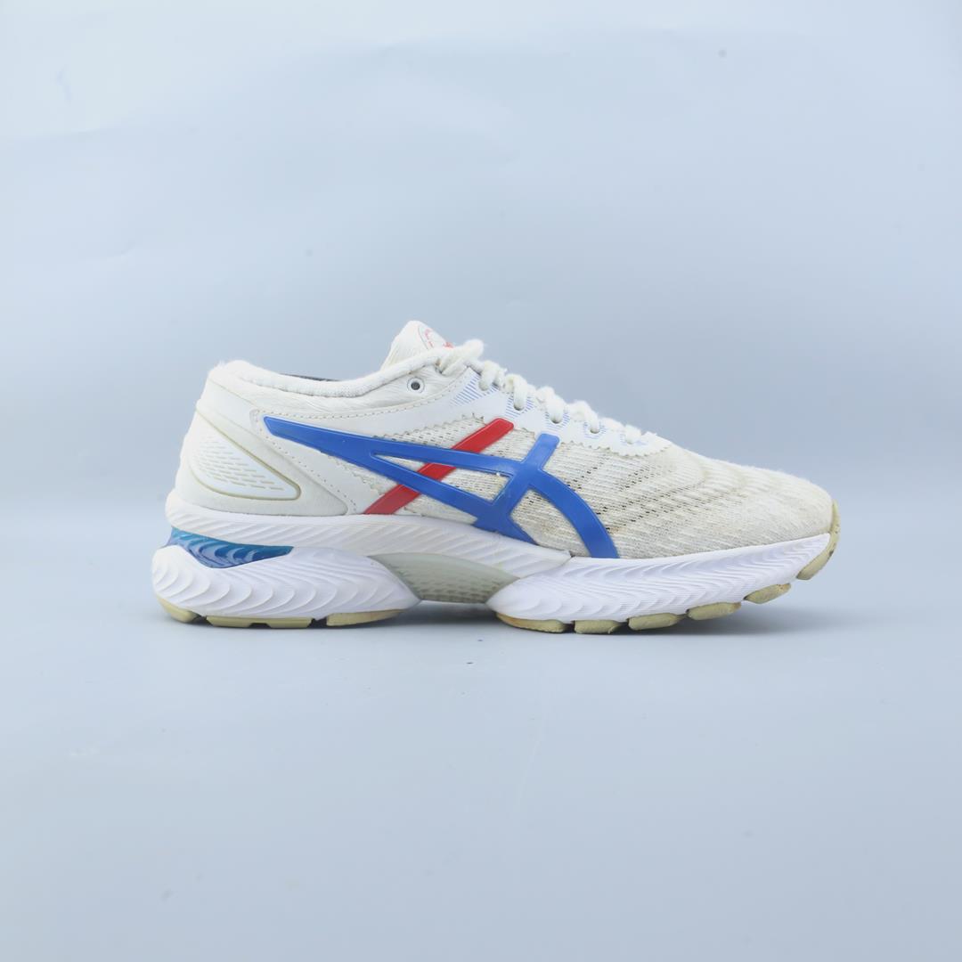 ASICS GEL-NIMBUS 22