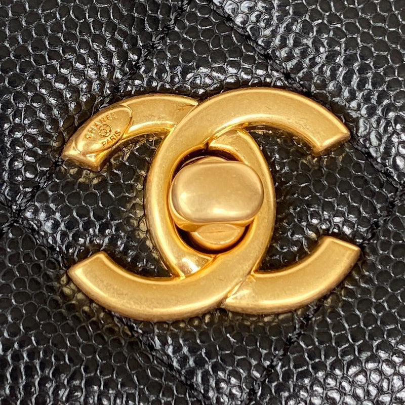 Amelia- CHL Lady Bags - 172