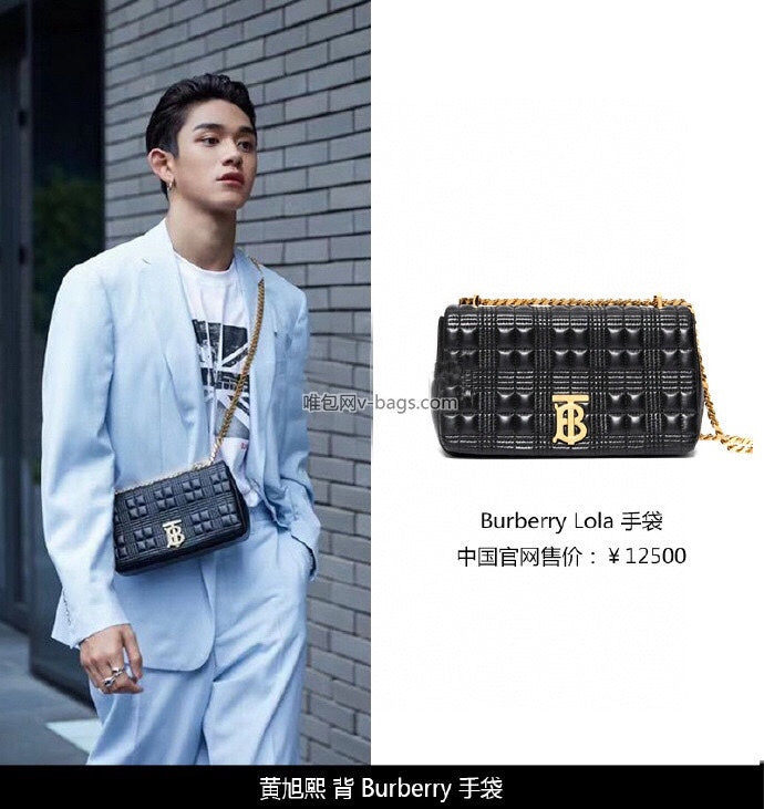 B-Berry Bags - Women Ameliave Luxury Bags - 538