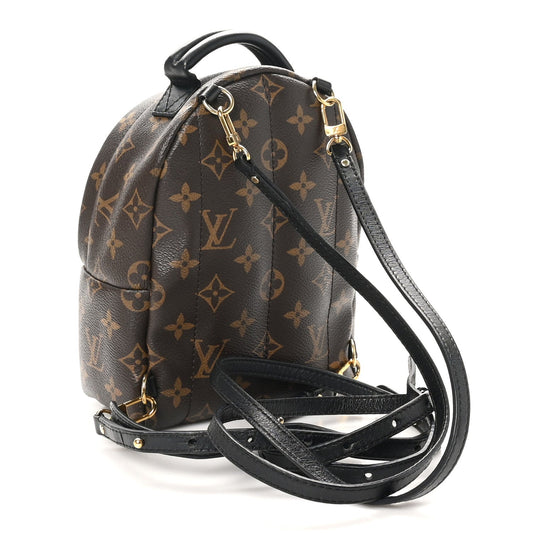 Louis Vuitton Monogram Palm Springs Backpack Mini