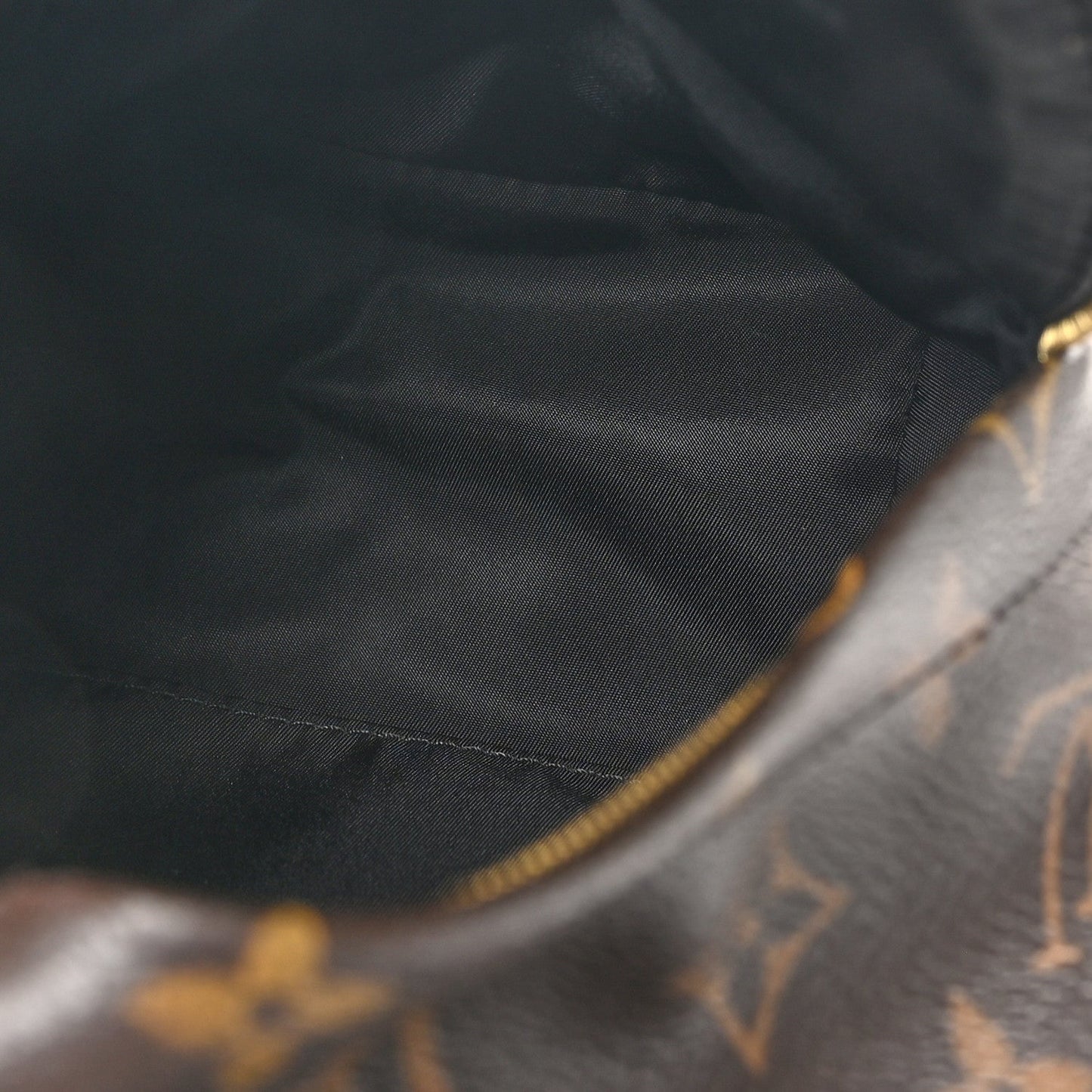 Louis Vuitton Monogram Palm Springs Backpack Mini