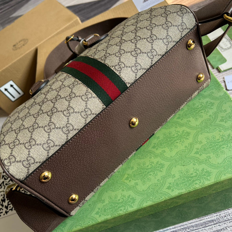 Amelia- GCI LUXURY LADY BAG - BRANDED BAGS FOR WOMEN - 387