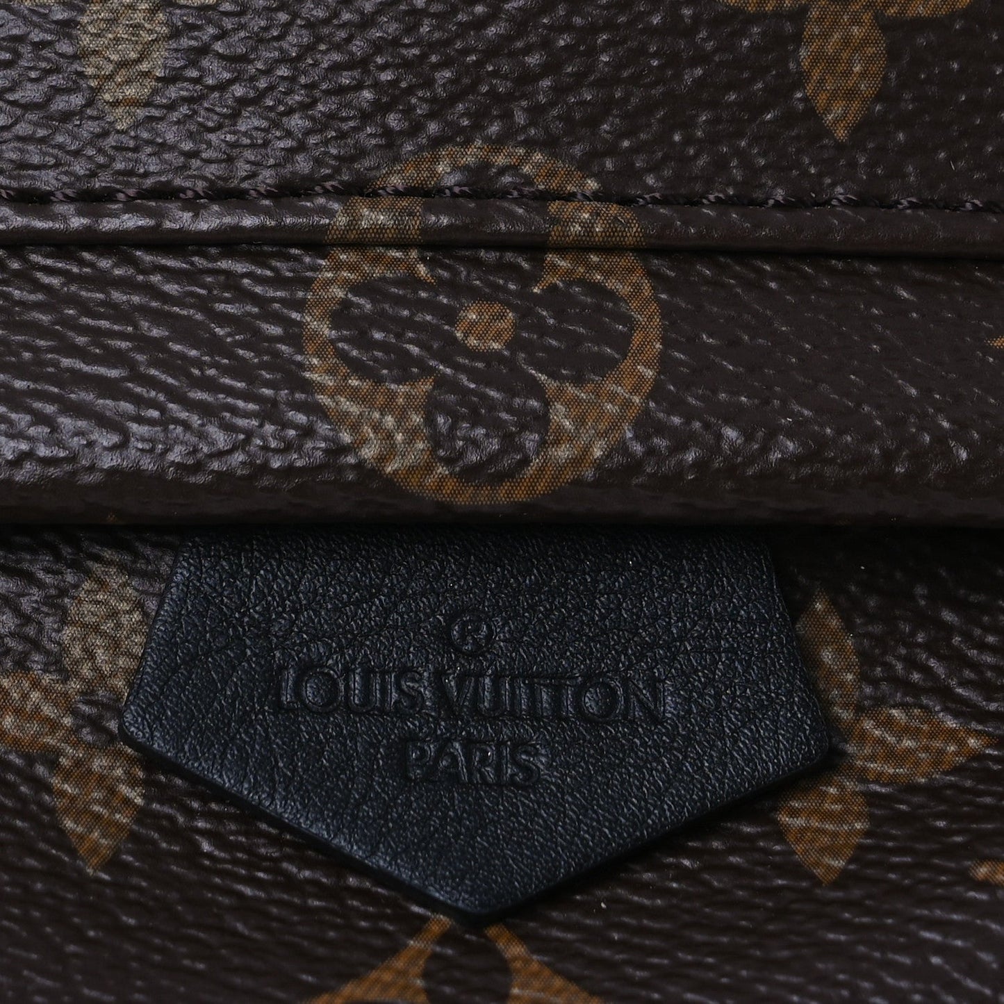 Louis Vuitton Monogram Palm Springs Backpack Mini