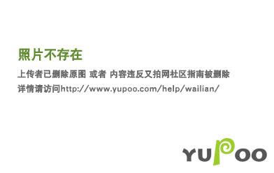 Amelia- GCI Bags - 010