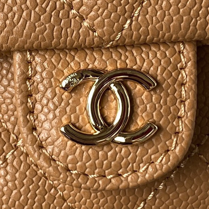 Amelia- CHL Bags - 7557