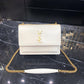 YSL BAGS - WOMEN LOVE LUXURY BAGS - 2684