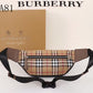 Burberry Bags - Bagsattire   025